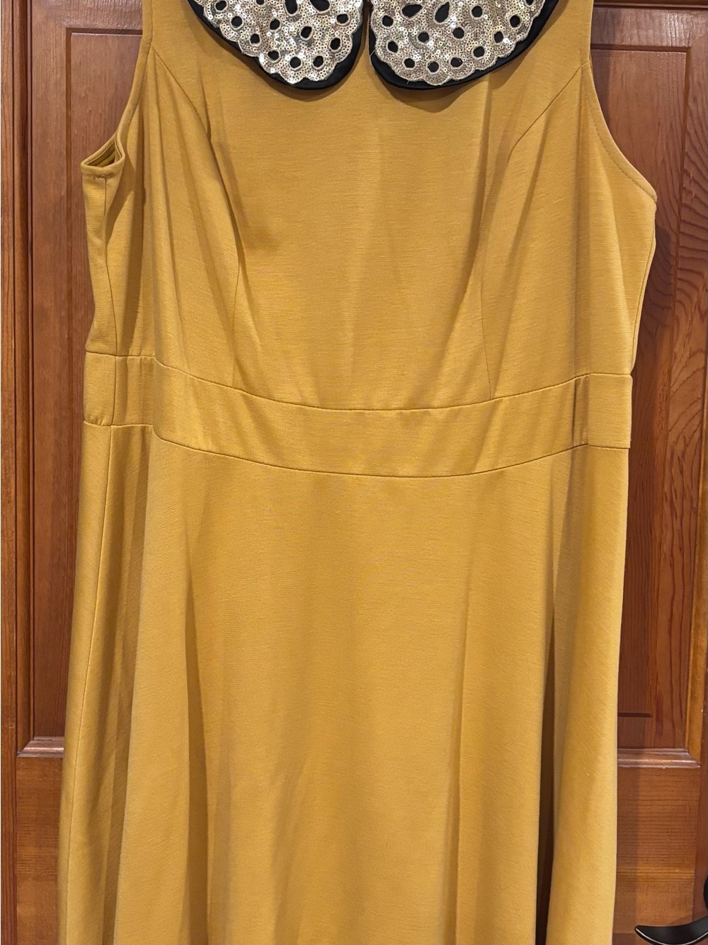 Sleeveless Embellished Collar Dress in Mustard Yellow